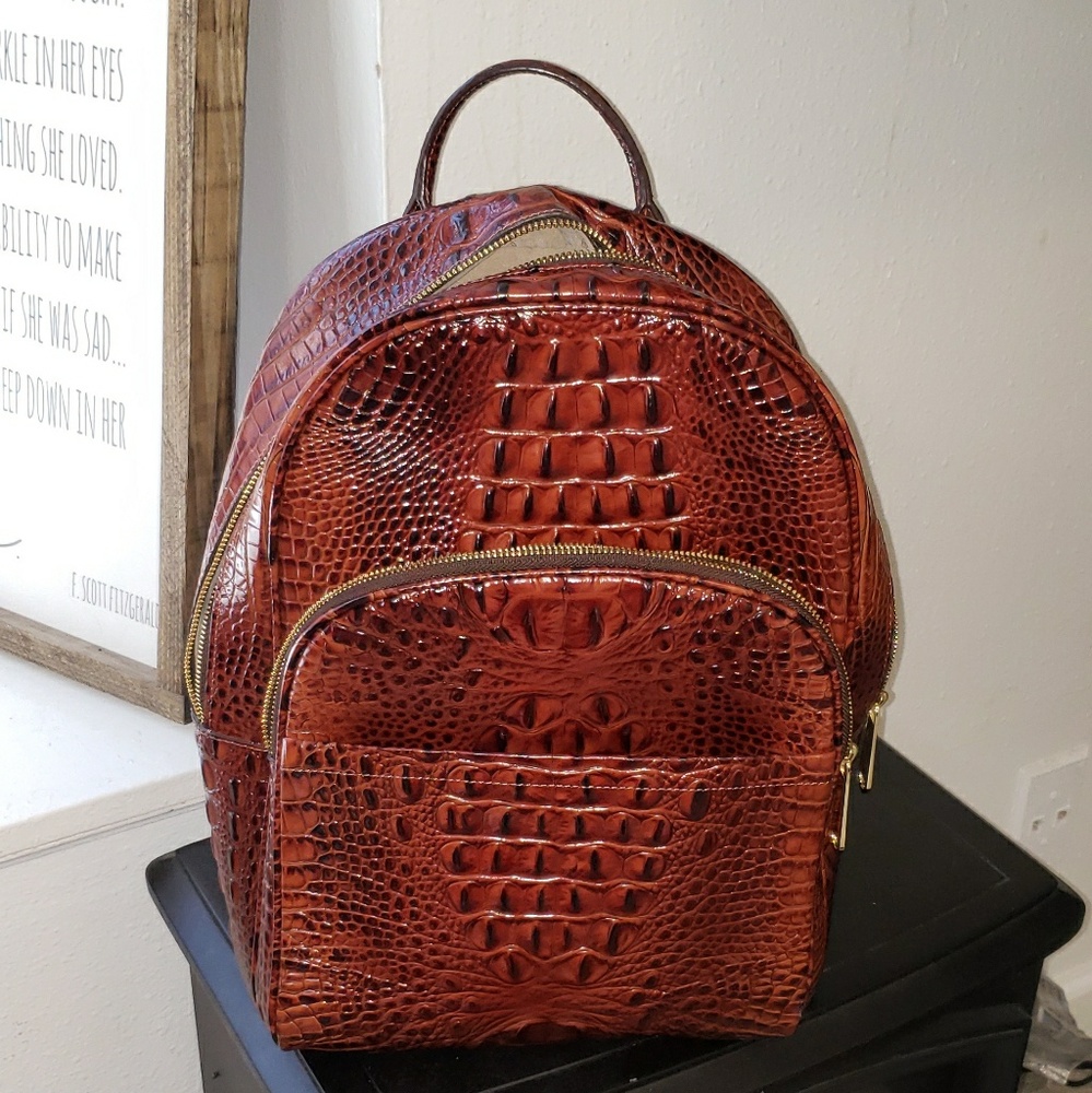 Large Brahmin Dartmouth Backpack